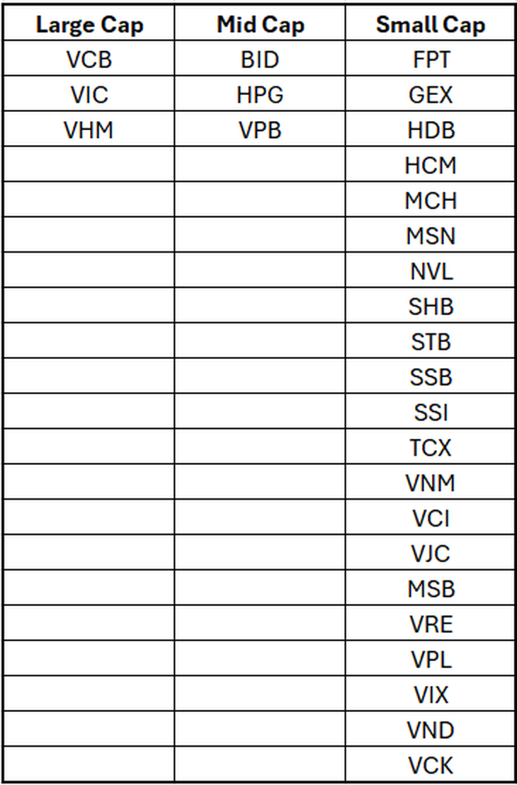 FTSE công bố danh sách cổ phiếu Việt cho kỳ nâng hạng thị trường - Ảnh 2.