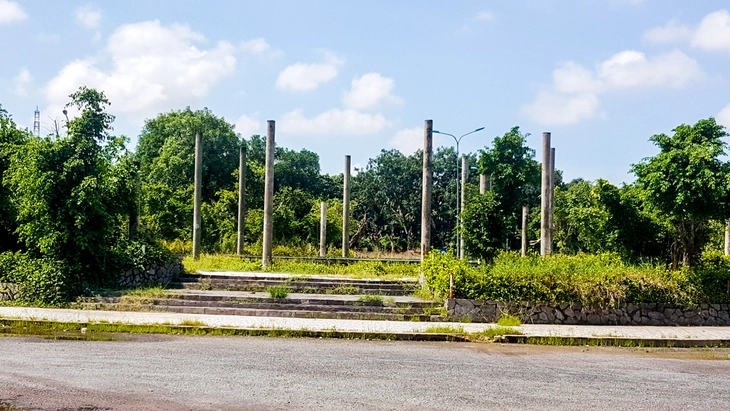 - Ảnh 1.
