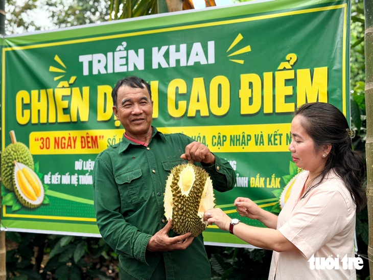 Đắk Lắk tính cơ chế hút tư nhân đầu tư phòng kiểm nghiệm sầu riêng - Ảnh 1.