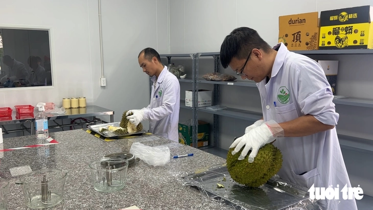 Đắk Lắk tính cơ chế hút tư nhân đầu tư phòng kiểm nghiệm sầu riêng - Ảnh 3.