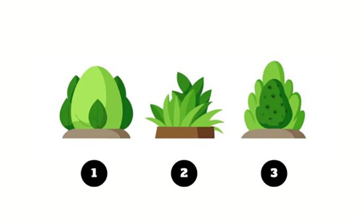 Quiz: Bạn nên đầu tư thời gian vào việc gì nhiều hơn? - Ảnh 1.