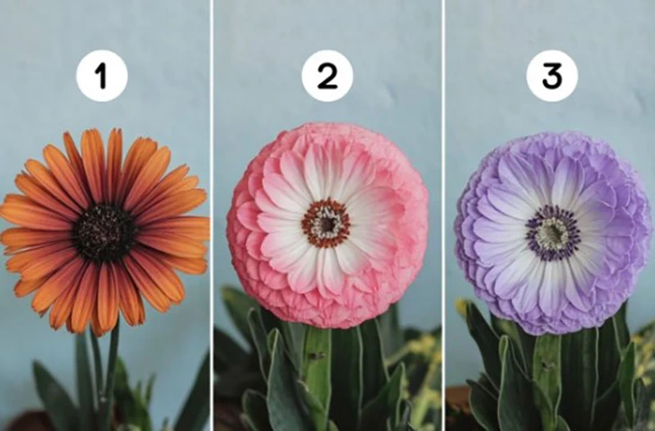 Quiz: Bạn có phải là người nhạy cảm? - Ảnh 1.