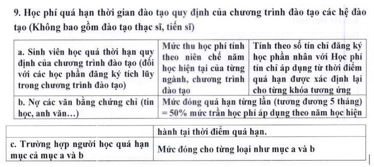  - Ảnh 3.