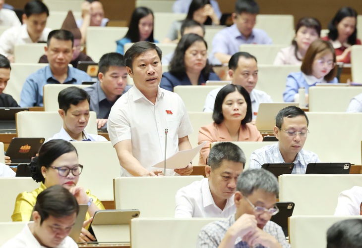 Đại biểu Quốc hội: Không thể mang tiền khách tiền mua dự án này đi làm dự án bất động sản khác - Ảnh 3.