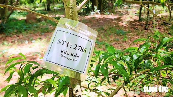  - Ảnh 5.