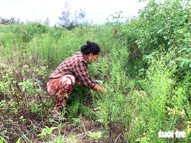 Dự án biệt thự ven biển hơn 240 tỉ đồng sau 9 năm vẫn ‘án binh bất động’ - Ảnh 3.