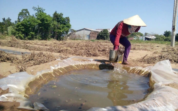 Thời tiết tuần cuối tháng 8: Bắc Bộ mưa nhiều ngày, Trung Bộ, Nam Bộ ngày nắng - Ảnh 2.
