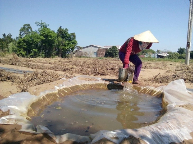 Đồng Tháp chủ động ứng phó El Nino 2026 để bảo đảm nguồn nước sinh hoạt và sản xuất - Ảnh 3.
