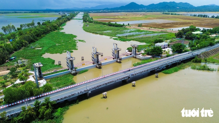Xuất hiện trở lại nhiều loại cá hiếm mùa nước nổi - Ảnh 10.