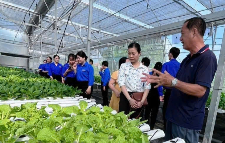Hướng nghiệp và tín chấp vay vốn cho thanh niên TP . HCM năm 2026 - Ảnh 1.