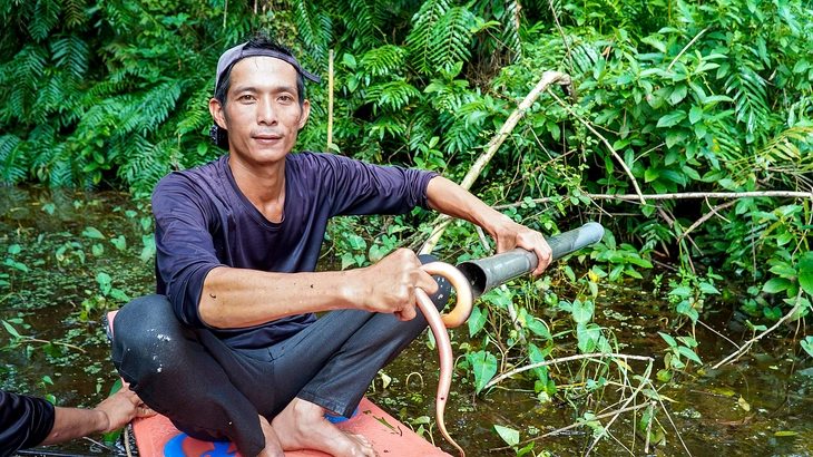 Theo chân thợ rừng U Minh bắt lươn kiếm tiền triệu - Ảnh 1.