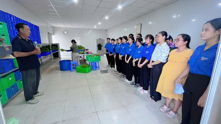Hướng nghiệp và tín chấp vay vốn cho thanh niên TP . HCM năm 2026 - Ảnh 4.