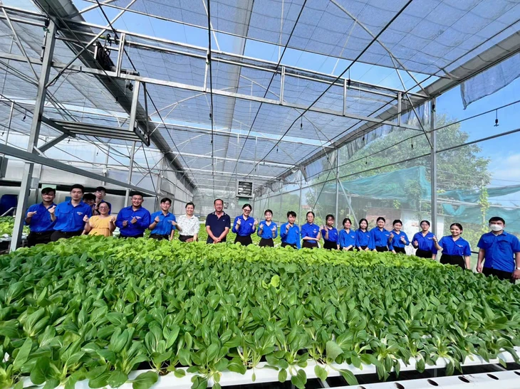 Hướng nghiệp và tín chấp vay vốn cho thanh niên TP . HCM năm 2026 - Ảnh 5.