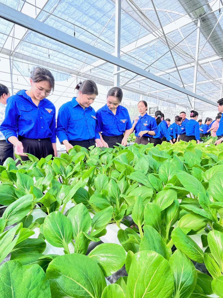 Hướng nghiệp và tín chấp vay vốn cho thanh niên TP . HCM năm 2026 - Ảnh 3.