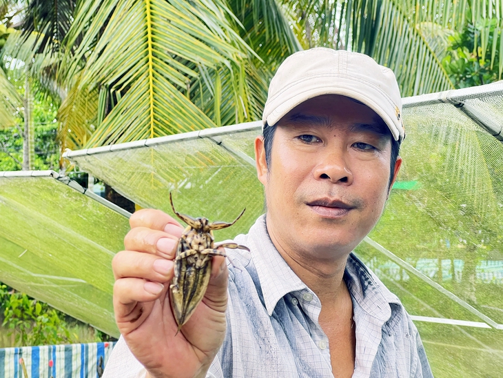 Bỏ nghề hướng dẫn viên, người đàn ông về quê nuôi loài côn trùng đặc biệt, bán cả ngàn con/tháng - Ảnh 1.