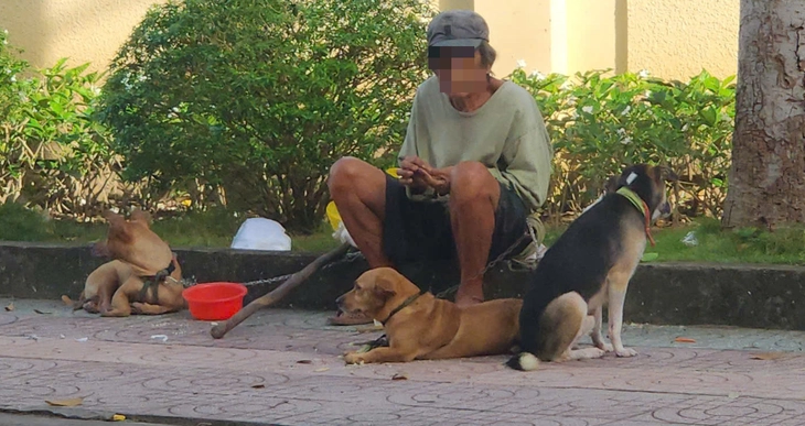 Bé gái 4 tuổi tại Đồng Tháp tủ vong do bệnh dại sau gần 7 tuần bị thương nghi do chó cắn - Ảnh 1.