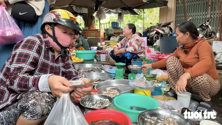 Cá linh non đầu mùa nước nổi 'lên phố' giá cao - Ảnh 1.