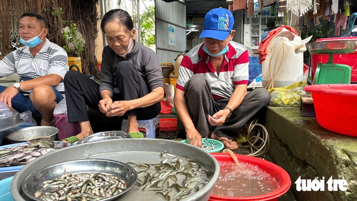 Cá linh non đầu mùa nước nổi 'lên phố' giá cao - Ảnh 2.