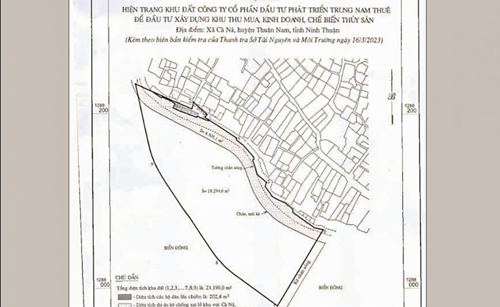 Thu hồi hơn 23.000 m2 đất dự án hơn 10 năm chưa thực hiện ở Cà Ná - Ảnh 1.