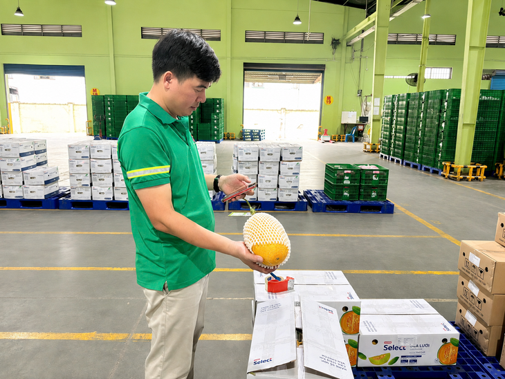 Saigon Co.op số hóa truy xuất nguồn gốc rau củ, trái cây, thủy hải sản - Ảnh 2.