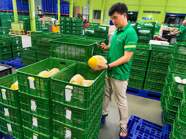 Saigon Co.op số hóa truy xuất nguồn gốc rau củ, trái cây, thủy hải sản - Ảnh 3.