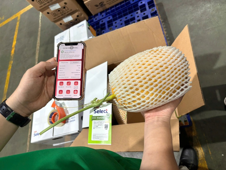 Saigon Co.op số hóa truy xuất nguồn gốc rau củ, trái cây, thủy hải sản - Ảnh 5.