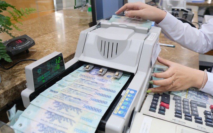 Công ty quản lý quỹ của bà Nguyễn Thanh Phượng muốn rút hết vốn khỏi Vietcap - Ảnh 2.