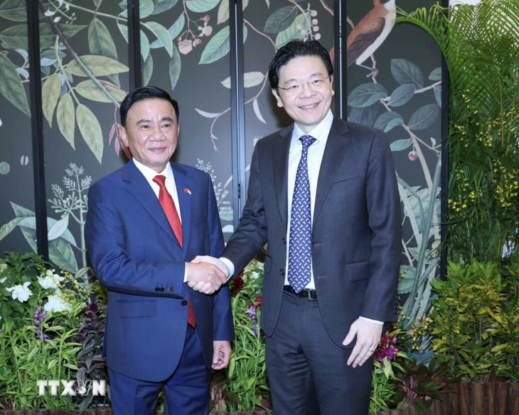 Việt Nam thúc đẩy đồng nghiên cứu, phát triển và sản xuất với Singapore - Ảnh 1.