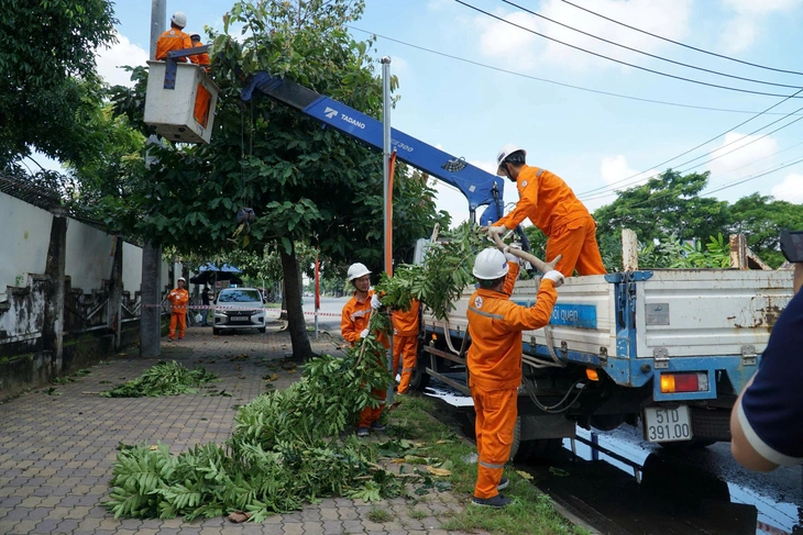 Cấp điện an toàn, ổn định cho lễ Quốc khánh 2-9 - Ảnh 2.