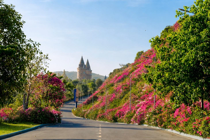 Hòn Tre: Từ hòn đảo hoang sơ giữa vịnh Nha Trang đến 'đảo diệu kỳ' của hàng triệu du khách - Ảnh 2.