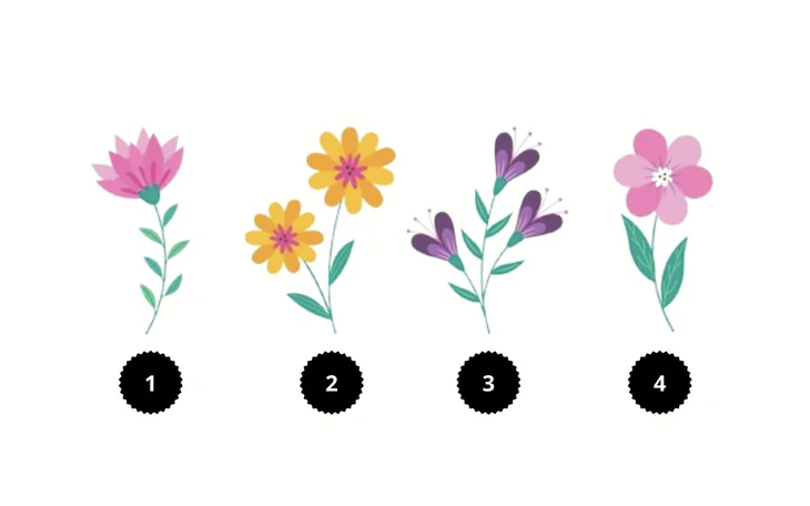 Quiz: Giấc mơ của bạn sẽ trở thành hiện thực khi nào? - Ảnh 2.