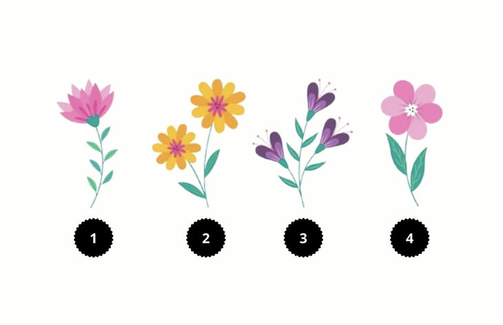 Quiz: Bạn sở hữu nguồn năng lượng mạnh mẽ hay nhẹ nhàng? - Ảnh 1.