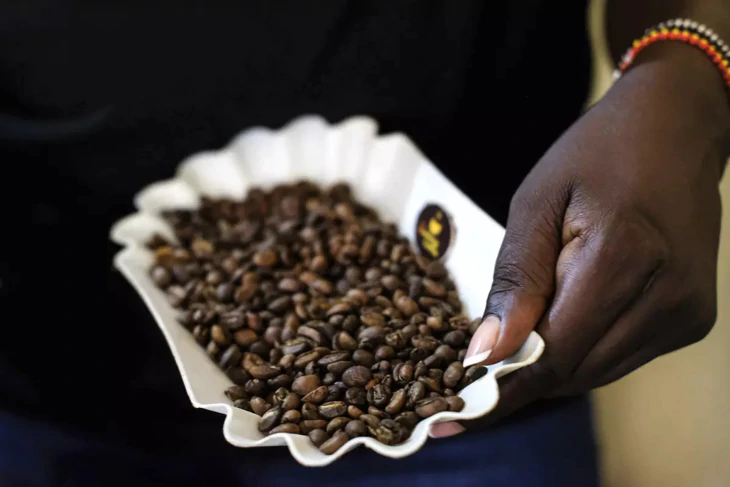 Bài học cà phê cao cấp từ 'quê hương Robusta' - Ảnh 5.