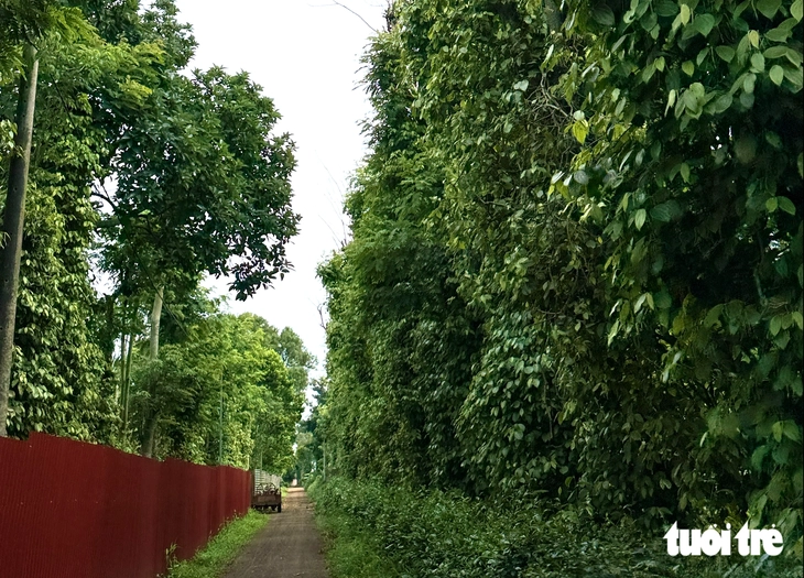 Trung ương đối thoại với người làm cà phê ở Đắk Lắk - Ảnh 1.