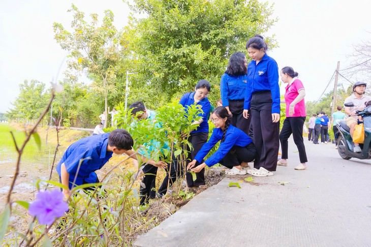 Tuổi trẻ TP.HCM thực hiện chuỗi hoạt động nghĩa tình, chung tay làm đẹp mỹ quan đô thị chào Quốc khánh - Ảnh 4.