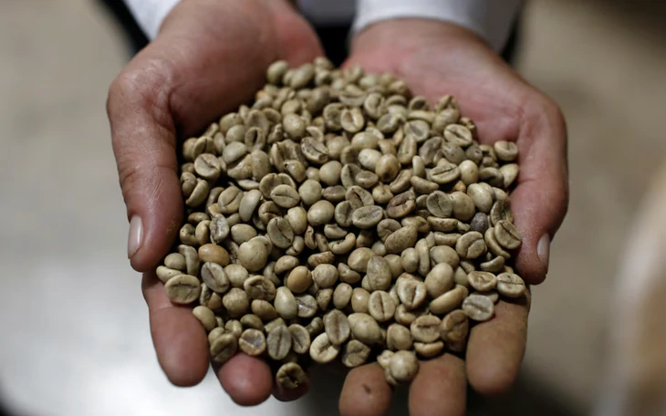 Đưa Fine Robusta Việt Nam đến gần hơn với người tiêu dùng Hàn Quốc - Ảnh 4.