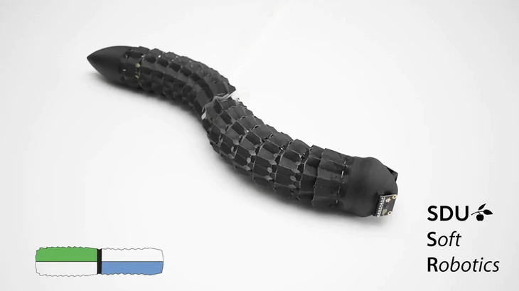 Dở khóc dở cười vì dân mạng toàn nghĩ tầm bậy tầm bạ về con robot này - Ảnh 1.
