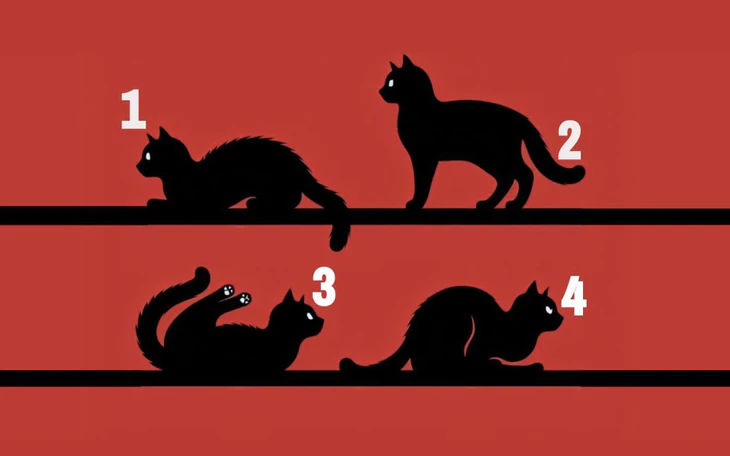 Quiz: Bạn ghét nhất điều gì? - Ảnh 3.