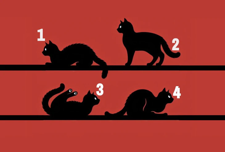 Quiz: Bạn ham học hỏi hay là người có trái tim ấm áp? - Ảnh 1.