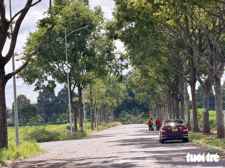 Đánh thức những khu 'đất vàng ngủ yên' ở Đắk Lắk - Ảnh 2.