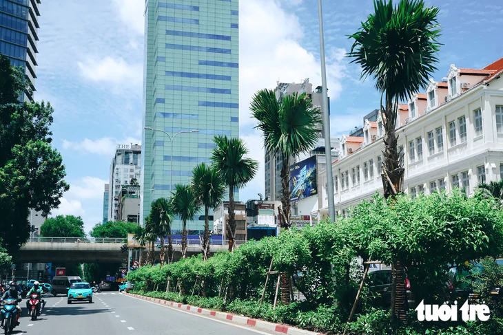 TP.HCM chỉnh trang các cửa ngõ, trạm chờ xe buýt theo hướng mang 'khu vườn' vào đô thị - Ảnh 6.