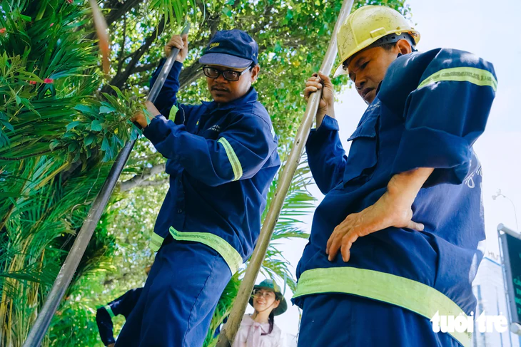 TP.HCM chỉnh trang các cửa ngõ heo hướng mang 'khu vườn' vào đô thị - Ảnh 2.