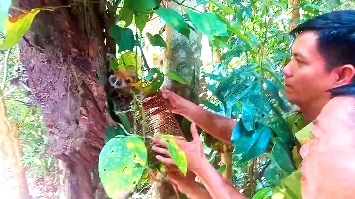 Kiểm lâm TP.HCM thả trăn đất 70kg về Khu bảo tồn thiên nhiên - văn hóa Đồng Nai - Ảnh 4.
