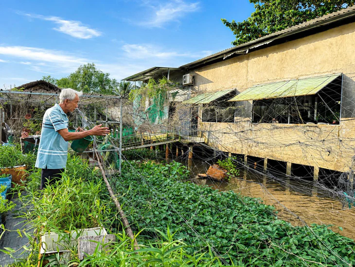 Người đàn ông ở miền Tây ngày bán cơm bình dân, tối ngủ trên chòi lá bảo vệ đàn cá thiên nhiên - Ảnh 4.
