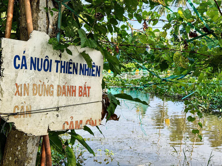 Người đàn ông ở miền Tây ngày bán cơm bình dân, tối ngủ trên chòi lá bảo vệ đàn cá thiên nhiên - Ảnh 3.