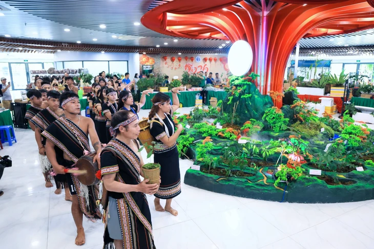 Ngắm những quầy sâm Ngọc Linh 'khủng' được bày biện ở trung tâm TP Đà Nẵng - Ảnh 2.