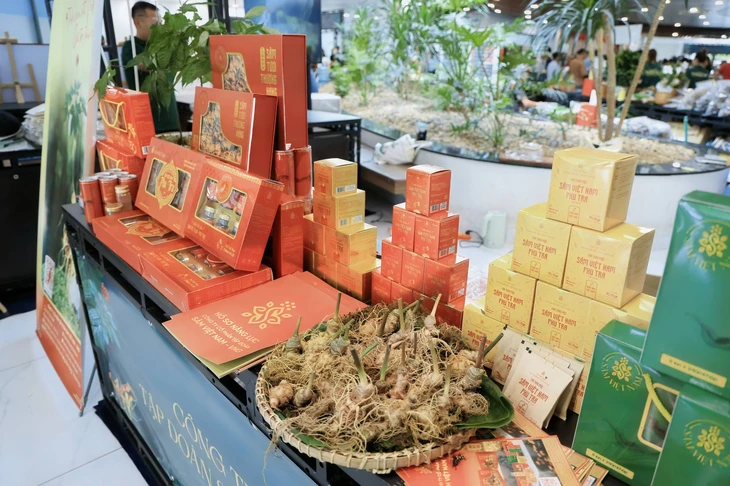 Ngắm những quầy sâm Ngọc Linh 'khủng' được bày biện ở trung tâm TP Đà Nẵng - Ảnh 3.