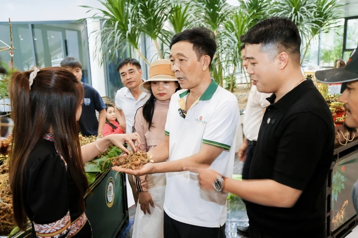 Ngắm những quầy sâm Ngọc Linh 'khủng' được bày biện ở trung tâm TP Đà Nẵng - Ảnh 10.
