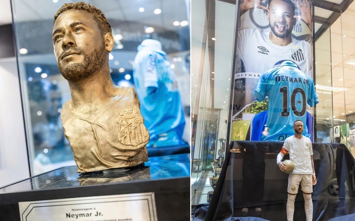 Messi quyên góp bao nhiêu cho nạn nhân cháy rừng? - Ảnh 3.