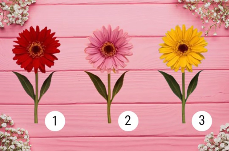 Quiz: Sự kiên cường của bạn được thể hiện như thế nào? - Ảnh 1.